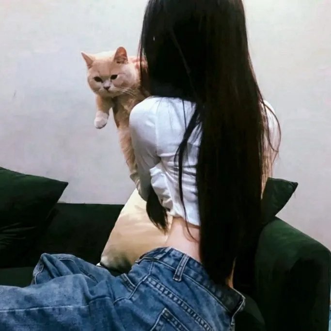 安静的房间