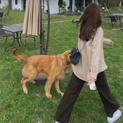 死灵之书